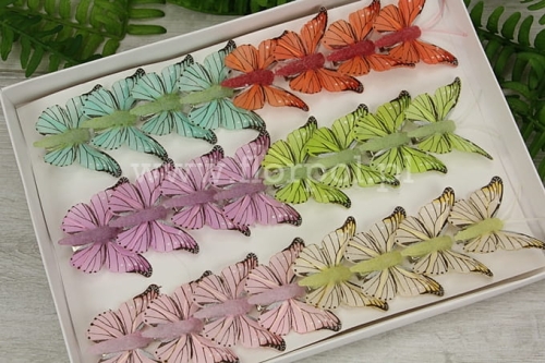 motylki clip 5cm 24szt mix (288609)