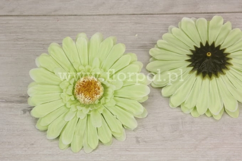 gerbera wyrobowa 12szt pistacja (KDGB19)