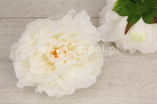 delikatna peonia wyrobowa 12szt #3076 ice cream (SUN406)