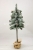 SOMDSZlightsnow 001.JPG