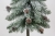 SOMDSZlightsnow 002.JPG