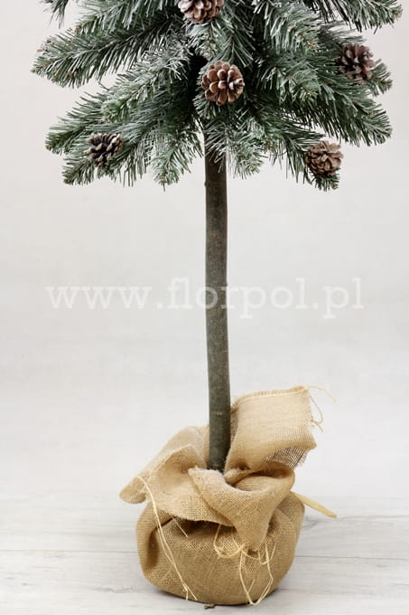 SOMDSZlightsnow 003.JPG