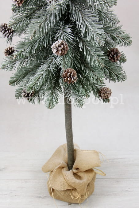 SOMDSZlightsnow 004.JPG