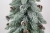 SOMDSZlightsnow 005.JPG