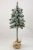 SOMDSZlightsnow 006.JPG