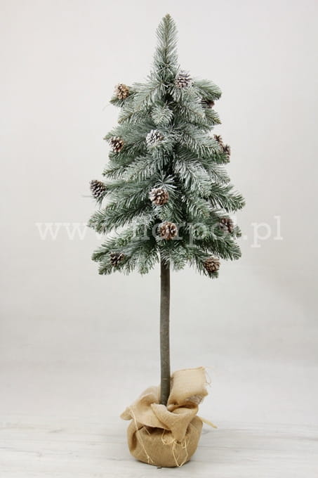 SOMDSZlightsnow 006.JPG
