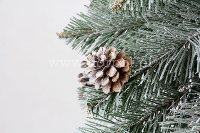 SOMDSZlightsnow 008.JPG