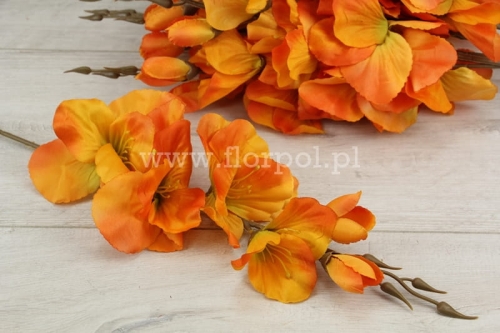 pojedynczy mieczyk 12szt #6 odcienie pomarańczowego/zielona nasada (G007C)