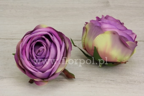 Róża zwijana Poppy Rose 12szt #2297 dirty violet (SUN564)