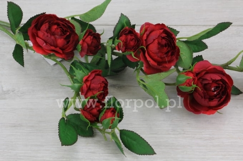 4a3dd6dd9a8207fd9c622a72596202f6