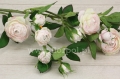 94d077525975af6ff78821bb79528778