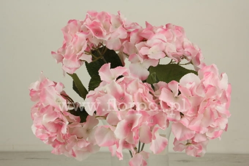 838738c241011890983568be6eee5d8b