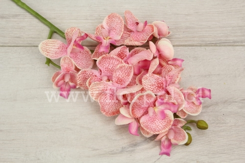 Mini orchidea na łodydze 1szt odc jasnego różu (SUN396)