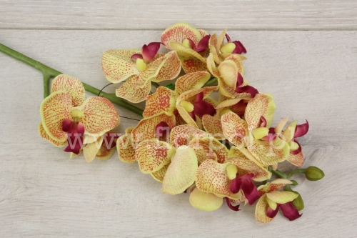 Mini orchidea na łodydze 1szt żółty/różowy  (SUN396)