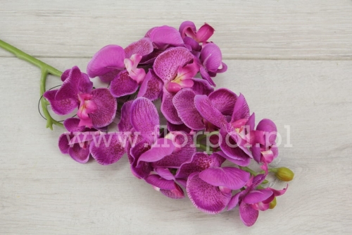 Mini orchidea na łodydze 1szt fuksja (SUN396)