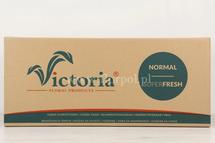 gąbka_florystyczna_victoria_001.JPG
