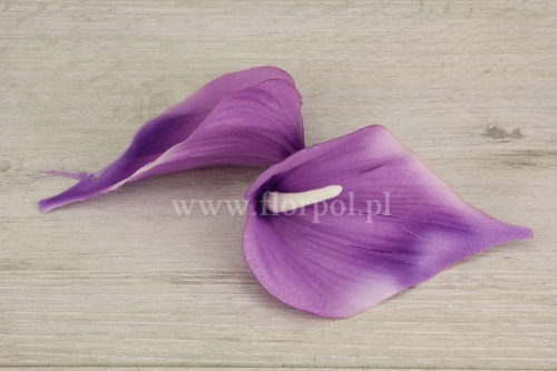 kalla atłasowa welurowa – mniejsza 24szt cieniowany fiolet