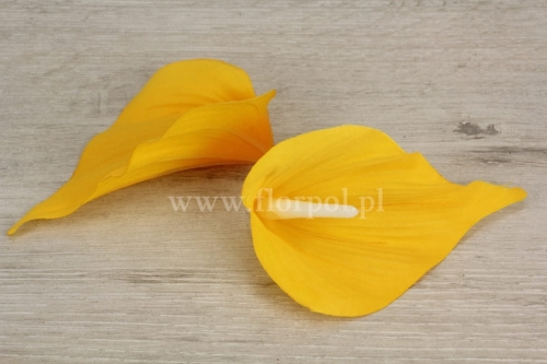 kalla atłasowa welurowa – mniejsza 24szt żółtko