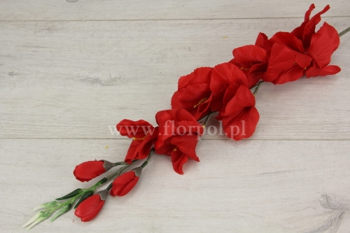 mieczyk pojedynczy – biała końcówka 12szt czerwony (G003 MIX2)