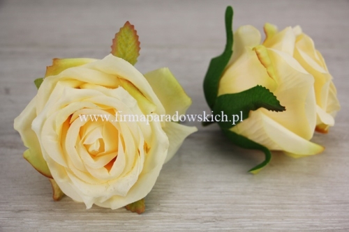 róża otwarty pączek  12szt  budyniowy (LY003)