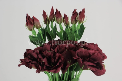 f74105280401263d20bc2e01e66dfc6a