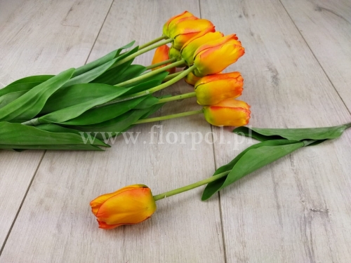 tulipan w pęczku 12szt lt tea (ART258)