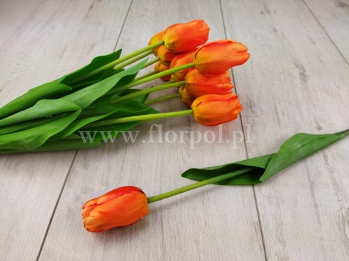 tulipan w pęczku 12szt tea (ART258)