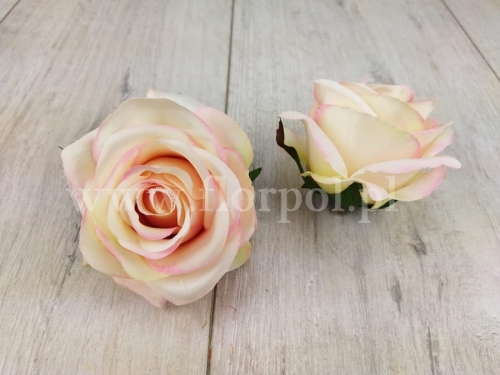 róża cieniowana 12szt #3064 aprricot cream (SUN385)