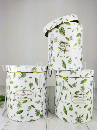 zestaw boxów w liście 3szt biały (TC08095-4)