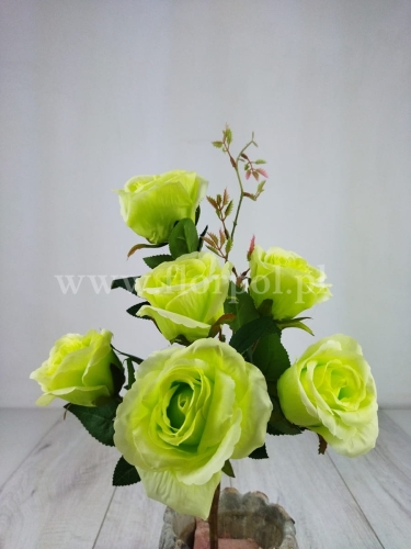 bukiet róży 6K 1szt jaskrawa zieleń