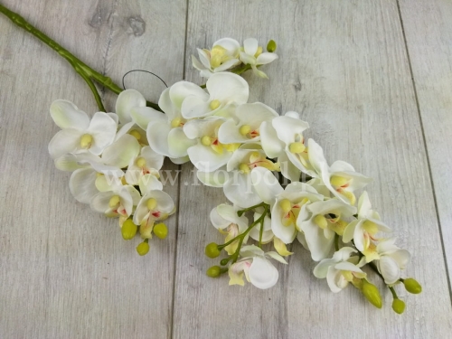 Mini orchidea z odnóżką 1szt #681 white (SUN230   Mix2)