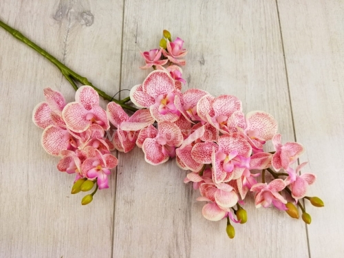 Mini orchidea z odnóżką 1szt pudrowy róż (SUN230    Mix2)