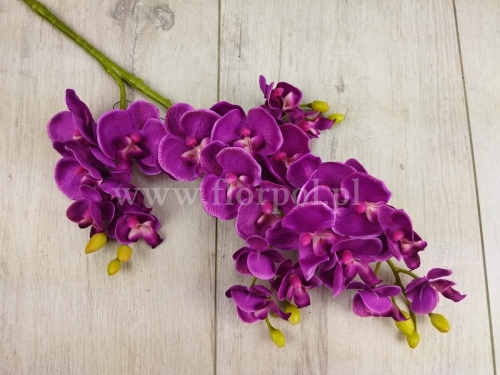  Mini orchidea z odnóżką 1szt fuksja -  (SUN230  Mix2)