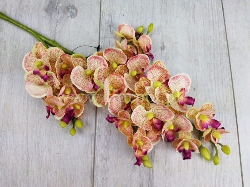 Mini orchidea z odnóżką 1szt wanilia/różowe żyłki (SUN230   Mix2)