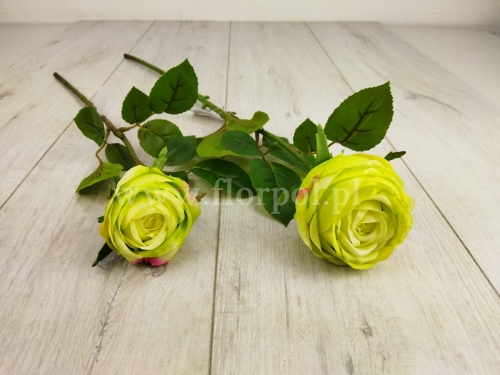 4953c0d234464d0739aecca54765d5a6