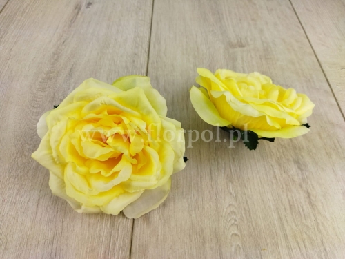 róża angielska - wyrobówka 12szt żółty