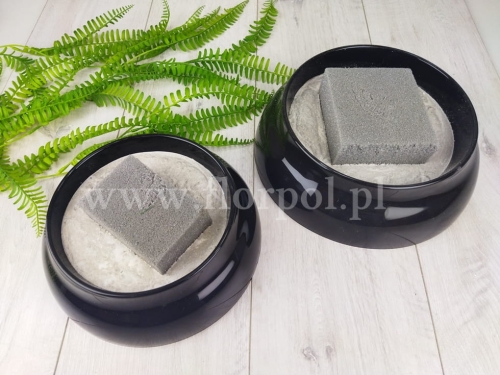 cemenciak dwupromień czarny 1szt