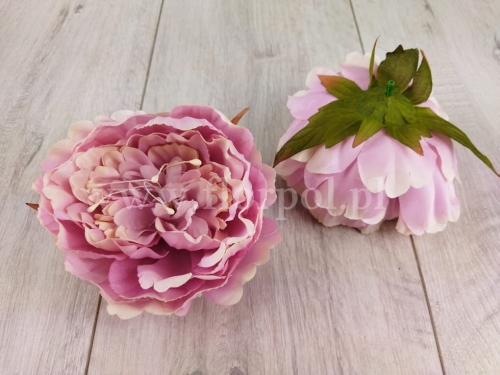peonia z pręcikiem - wyrobówka 6szt pudrowy róż