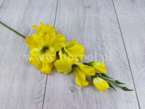 pojedynczy mieczyk 12szt intensywny żółty/zielona nasda #15  (G007)