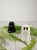 halloween434.jpg