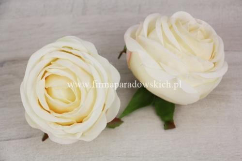 f1cd75c5939111cdeb673daf36145402